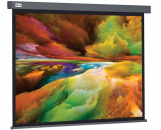 ����� ��� ��������� Cactus 152x203�� Wallscreen CS-PSW-152X203-SG grey