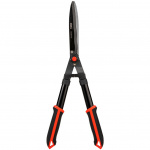 ���� �������� ������� ������� ��������-�������� ������������