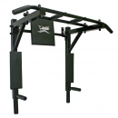 - , Absolute Champion 