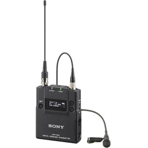���� ������ ������������ Sony DWT-B30/L ������ ��������-�������� ������������