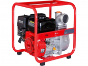 ��������� Fubag PG 1000 (838751) 1000 �/���