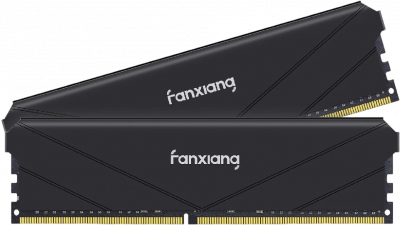 ����������� ������ Fanxiang DDR4 32GB (2x16Gb) 3200MHz (FU4HC32ACK2-TBB) ������
