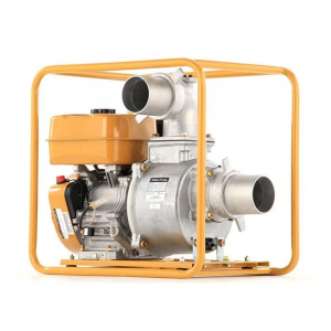 ���� ������ ��������� Champion GP100E 9 �.�. 1600 �/��� ��������-�������� ������������