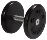  Barbell     13 