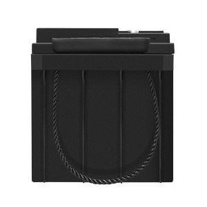 ���� ������ �������������� ������� ExeGate EX282981RUS GP12650 (12V 65Ah, ��� ���� �6) ������ ��������-�������� ������������