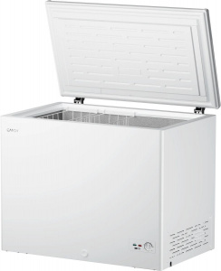 ����������� ���� CANDY CCM301R �����