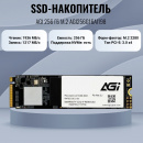 SSD-���������� AGI 256 �� M.2 AGI256G16AI198