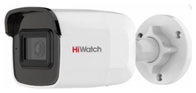 IP-������ HiWatch DS-I650M(B) white