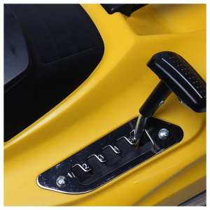 ���� ������ ������������� ������������� Champion EM3616 ��������-�������� ������������