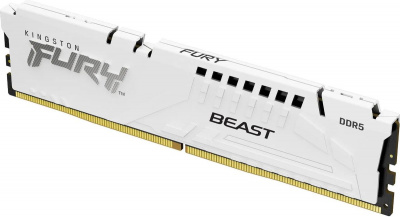 ����������� ������ Kingston FURY Beast EXPO KF560C30BWE-32 �����